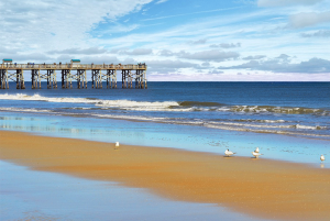 Home Security Flagler Beach